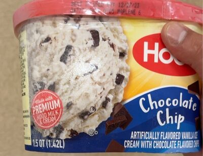 Chocolate Chip Vanilla Ice Cream With Chocolate, Chocolate Chip