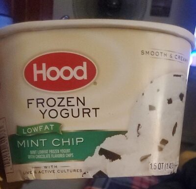 Mint Chip Low Fat Frozen Yogurt, Mint Chip