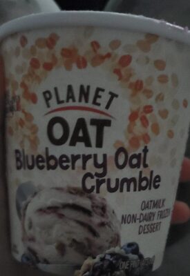 Blueberry Oat Crumble Oatmilk Non-Dairy Frozen Dessert, Blueberry Oat Crumble