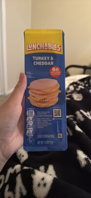 Turkey And Cheddar Cracker Stackers