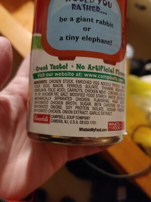 Campbell's Condensed Kids Chicken NoodleO's Soup, 10.5 oz Can