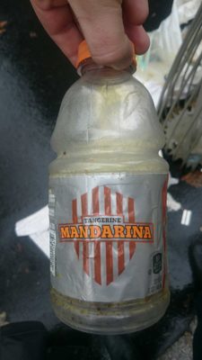 Gatorade Thirst Quencher Tangerine Mandarina 32 Fluid Ounce Plastic Bottle