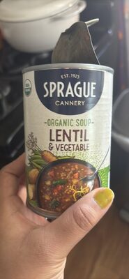 Lentil & Vegetable Organic Soup, Lentil & Vegetable