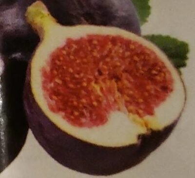 Fig Preserve, Fig