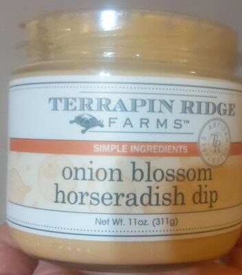 Onion Blossom Horseradish Dip, Onion Blossom Horseradish