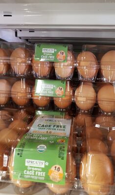 Organic Grade A Cage Free Large Brown Eggs