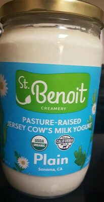 Plain Yogurt, Plain