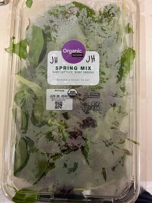 Spring Organic Baby Lettuce, Organic Baby Greens & Organic Radicchio Mix, Spring