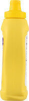 Yellow Mustard