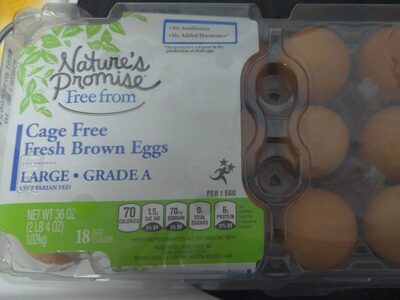 Cage Free Fresh Brown Eggs