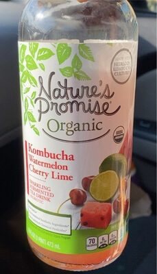 Probiotic Kombucha Watermelon Cherry Lime Sparkling Fermented Tea Drink, Kombucha Watermelon Cherry Lime