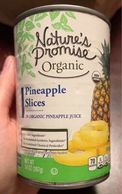 Pineapple Slices In Organic Pineapple Juice