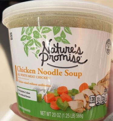 Chicken Noodle Soup, Chicken