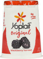 Yoplait Original Blackberry Harvest Low Fat Yogurt