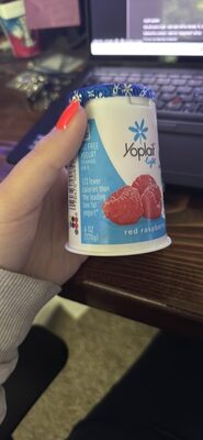 Yoplait Light Red Raspberry Fat Free Yogurt