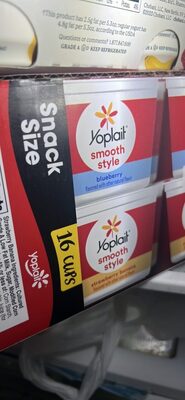 Yoplait Smooth Style Strawberry Banana/Blueberry Low Fat Yogurt Variety Pack 16 Count