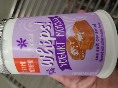 Yoplait Whips! Sea Salt Caramel Yogurt Mousse
