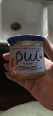 Oui by Yoplait Pumpkin French Style Yogurt