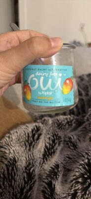 Oui by Yoplait Dairy Free Mango Coconut Dairy Alternative