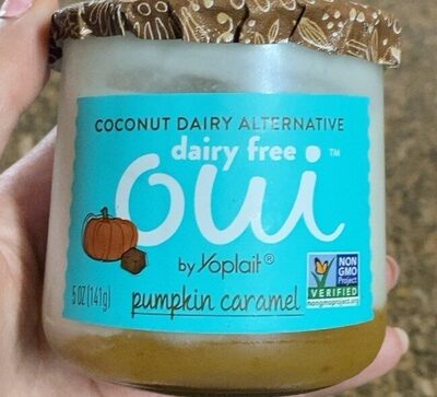 Dairy Free Pumpkin Caramel Coconut Dairy Alternative
