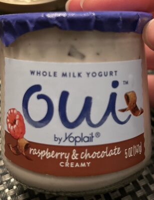 Oui by Yoplait Raspberry Chocolate Chip French Style Yogurt