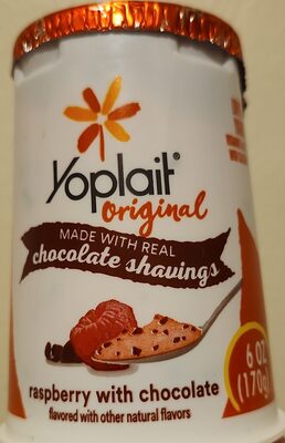 Yoplait Original Raspberry Chocolate Low Fat Yogurt