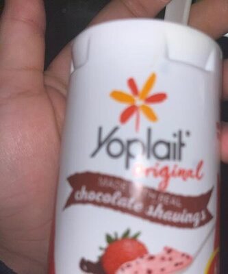 Yoplait Original Strawberry Chocolate Low Fat Yogurt