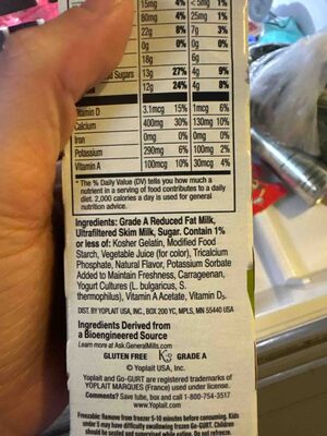 Go-Gurt Protein Strawberry Yogurt Tubes 8 Count