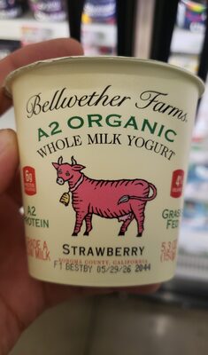 Strawberry A2 Organic Whole Milk Yogurt, Strawberry