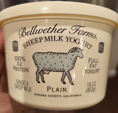 Plain Full Fat Yogurt, Plain