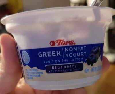 Blueberry Fruit On The Bottom Greek Nonfat Yogurt, Blueberry