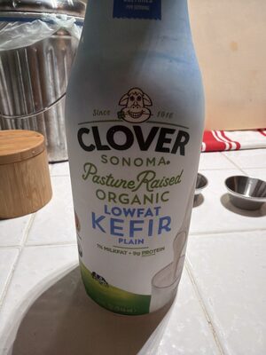 Traditional Plain Organic Kefir Lowfat Cultured Milk, Traditional Plain