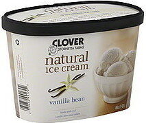 Ice Cream, Vanilla Bean