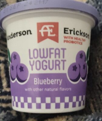 Blueberry Lowfat Yogurt, Blueberry