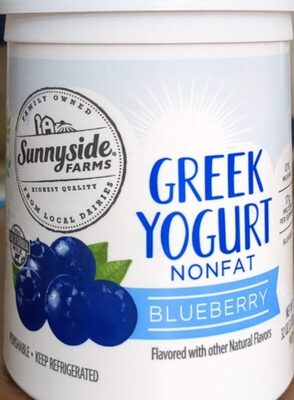 Blueberry Blended Greek Nonfat Yogurt, Blueberry