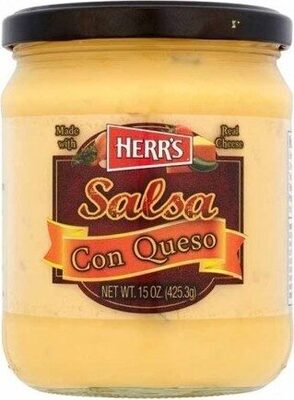 Salsa Con Queso Dip