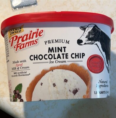 Premium Pure Mint Ice Cream With Real Chocolate Chips, Mint Chocolate Chip