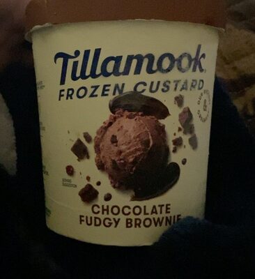Chocolate Fudgy Brownie Frozen Custard With Brownie Chunks, Chocolate Fudgy Brownie