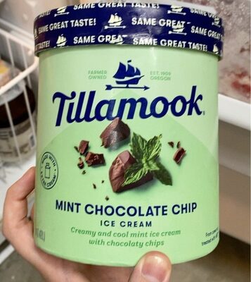 Mint Chocolate Chip Ice Cream Creamy And Cool Mint Ice Cream With Chocolaty Chips, Mint Chocolate Chip