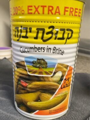 Brine Cucumbers