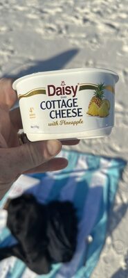 4% Cottage Cheese With Pineapple, Pineapple