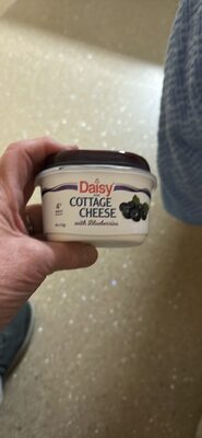 4% Cottage Cheese With Blueberries, Blueberries