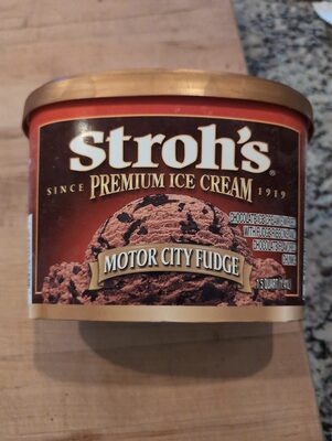Motor City Fudge Chocolate Ice Cream Swirled With Fudge Ribbons And Chocolate Flavored Chunks Premium Ice Cream, Motor City Fudge