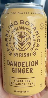 Dandelion Ginger Sparkling Botanical Tea, Ginger