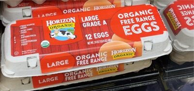 Organic Free Range Grade A Large Eggs