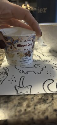 Vanilla Chocolate Chip Ice Cream, Vanilla Chocolate Chip
