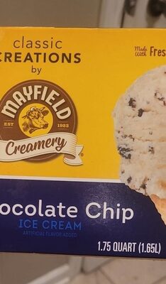 Chocolate Chip Ice Cream, Chocolate Chip