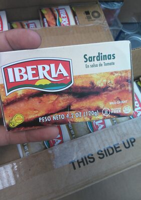In Tomato Sauce Sardines