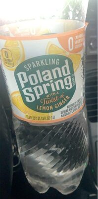 Sparkling Lemon Ginger Water, Lemon; Ginger