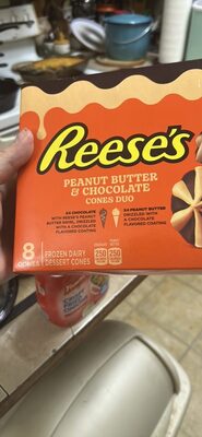 Reese's Peanut Butter & Reese's Chocolate Frozen Dairy Dessert Cone 